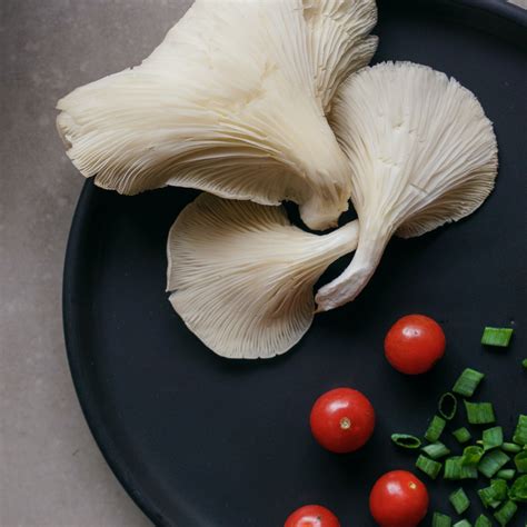 WHITE OYSTER MUSHROOM