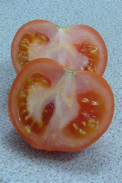 Inside Tomatoes This Is A Photo Of The Inside Of A Tomato Richard