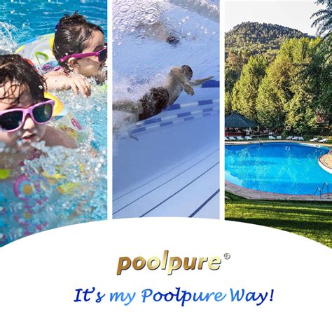 POOLPURE PWK35B Filter Replaces Watkins 1642301 1 78161 78286 Hot Spring Limelight Series