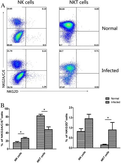 The Expression Of NKG2A C E CD94 And NKG2D CD314 On NK And NKT