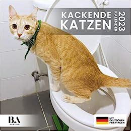 Kackende Katzen Kalender Das Lustige Geschenk F R M Nner Frauen