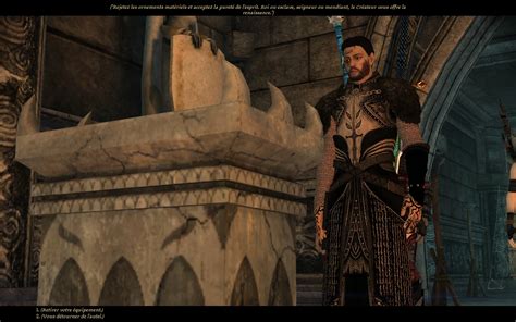 Dragon Age Origins Mage Robes Gostaustin