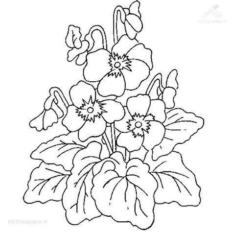 Ocean Plants Coloring Pages at GetColorings.com | Free printable colorings pages to print and color