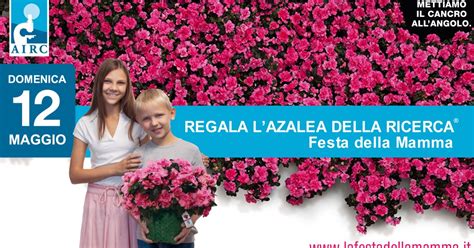 Domenica Torna L Appuntamento Con L Azalea Della Ricerca In Calabria