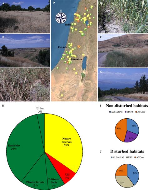 Figure 1 From Evolution Of Herbicide Resistance Mechanisms In Grass