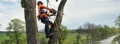 Husqvarna Introduces New Chains And Bars Specifically Designed For Tree