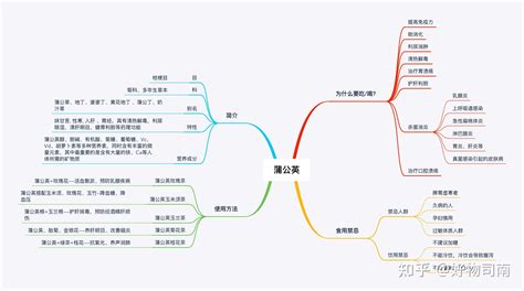 图文详解蒲公英的功效与作用，关于它，看这篇就够了 知乎