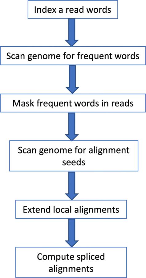 Flowchart of the Magic-BLAST algorithm | Download Scientific Diagram