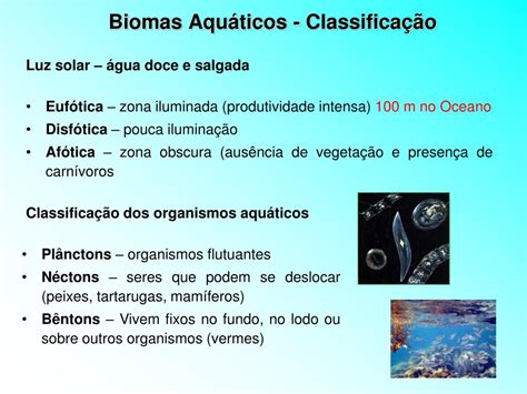 PPT TIPOS DE ECOSSISTEMAS BIOMAS PowerPoint Presentation Free