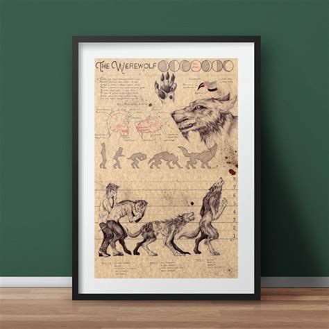 Werewolf Transformation Art Print - Creepbay