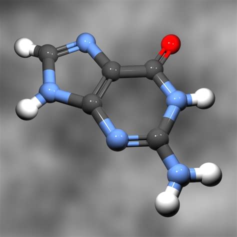 Nucleobase Guanine Dna 3d Model