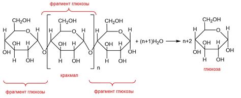 Чем отличаются гидролиз и гидратация? Подробное руководство с примерами ...