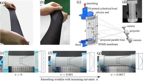 Wrinkling Of Flat And Curved Stretched Soft Membrane And Shell