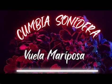 Cumbia Sonidera 13 Vuela Mariposa Los Llayras YouTube