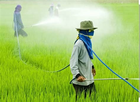 Pesticides In Agriculture