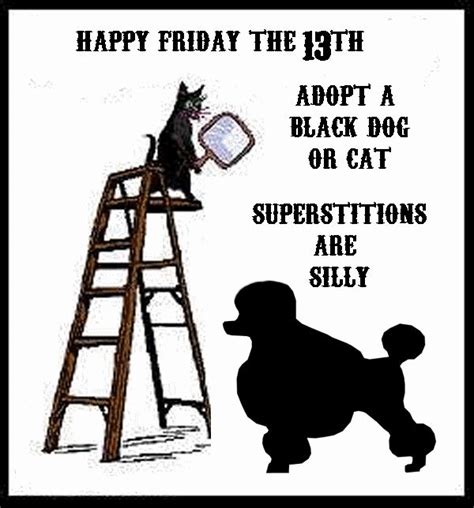 Adopt a black dog or cat superstitions are silly Happy Friday the 13th ...