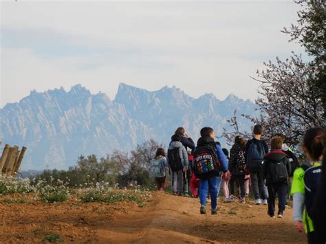 Sortida Mitjans A Podar La Vinya Escola Llebeig