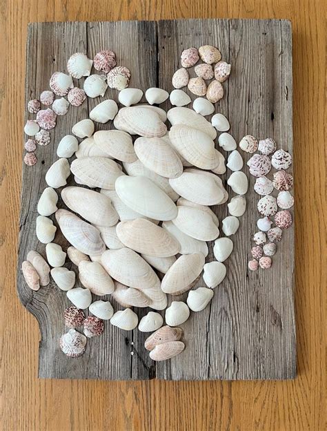 Several Seashells Are Arranged On A Piece Of Wood