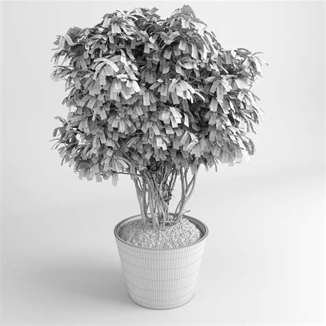 House Plants GrowFX 3D Model 25 Max Fbx Obj C4d Blend Free3D