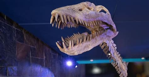 New Dinosphere at The Children's Museum of Indianapolis opens March 19