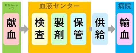 輸血までの流れ｜go To 献血 16歳からのボランティア