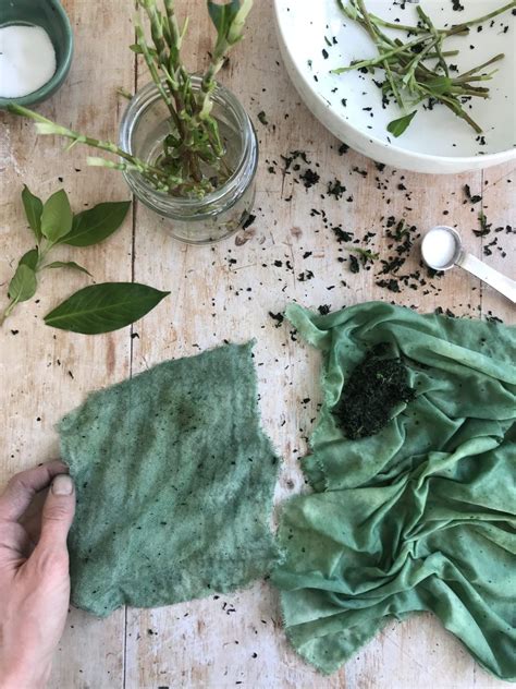 Fresh Leaf Indigo Dyeing The Salt Rub Method Rebecca Desnos Eco