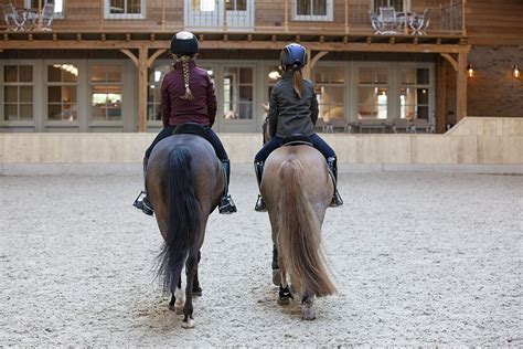 Barn Friends Are Best Friends Horse Photos Girl Things Horse Girl