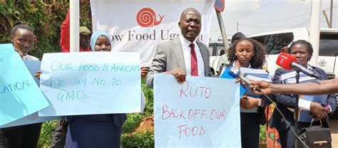 Ugnews24 Uganda Civil Society Drags Kenyan Government To Court Over Gmos