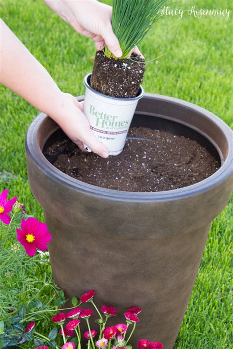 Tips For Planting Large Pots - Stacy Risenmay