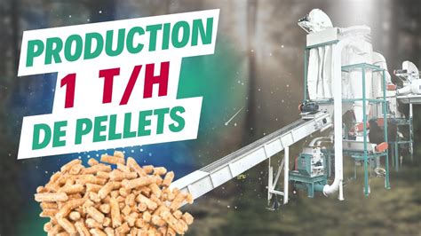 Ligne De Production De Pellets De Bois T H En France Pr Sentation