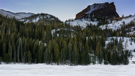 Mountain Winter Snow Trees Landscape Blue Sky Background 4K HD Nature ...