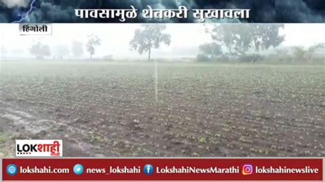 Hingoli पावसामुळे शेतकरी सुखावला शेतीच्या कामांना वेग Rain Update