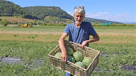 Bio Wassermelonen Aus Villigen Migros Basel