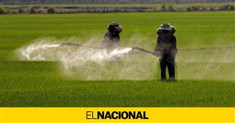 El glifosato podría prohibirse en España