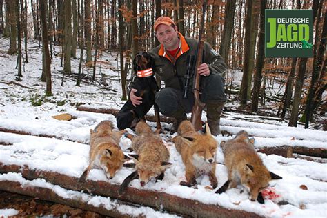 Geführte Hegejagd im DJZ Testrevier mit Erich Kaiser Jagen Weltweit