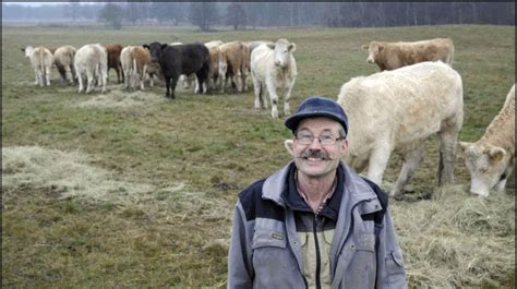 Svenska bönder får dela på sex miljarder Nyheter Expressen