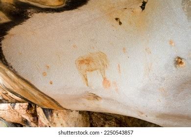 Khoisan Rock Art Karoo South Africa Stock Photo Shutterstock