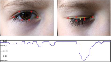 Blinking Extraction In Eye Gaze System For Stereoscopy Movies