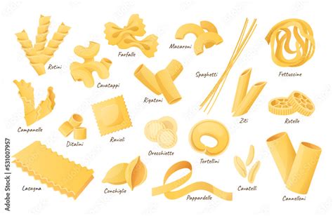 Italian pasta shapes. Fettuccine, spaghetti and lasagna. Dry cannelloni, ravioli and macaroni ...