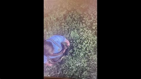 Как «умирает» видеокарта. Реддитор показал, как видеокарта выдаёт ...