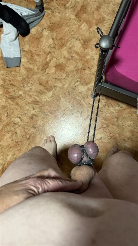 Cbt For Mini Pimel Loser Nude Pics Xhamster