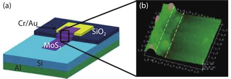 Photodetectors Based On 2d Materialsi Heterostructure