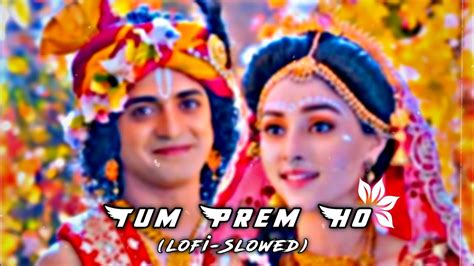 Tum Prem Ho Radha Krishna Lofi Reverb Song Slowed Reverb