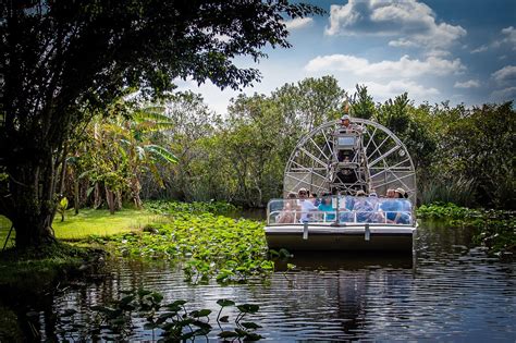 11 Best Everglades Boat Tours - Unique Landscapes and Wildlife