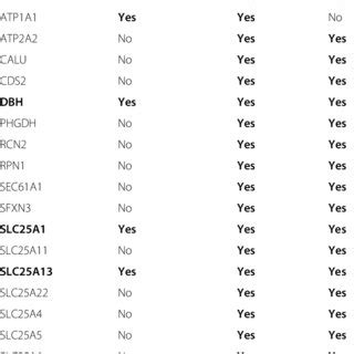 List of PPT1/CLN1, CLN3, and CLN5 common interactors in human cells ...