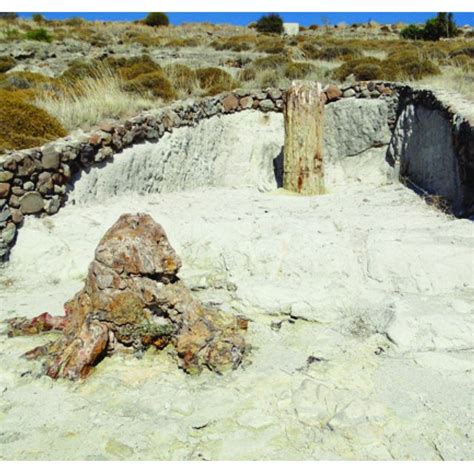 Visita T Cnica Floresta Petrificada De Lesvos Gr Cia Em 4 De