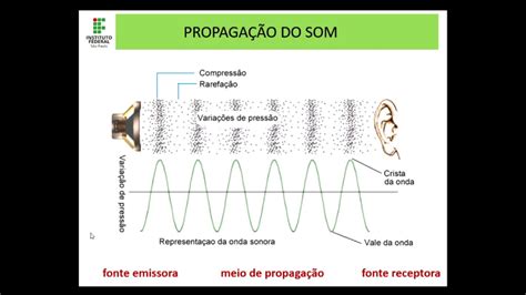 Aula On Line Em Ensaio Por Ultra Som Youtube