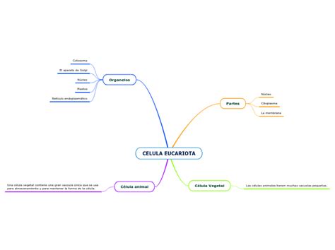 Celula Eucariota Mind Map