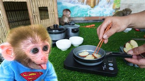 Mini Cooking For Monkey Bibi Monkey Baby Bon Bon Baby Monkey Eat