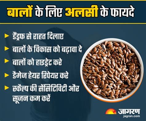 Flaxseed Benefits For Hair बालों के लिए वरदान हैं अलसी के बीज हेयर ग्रोथ के लिए इन 3 तरीकों से